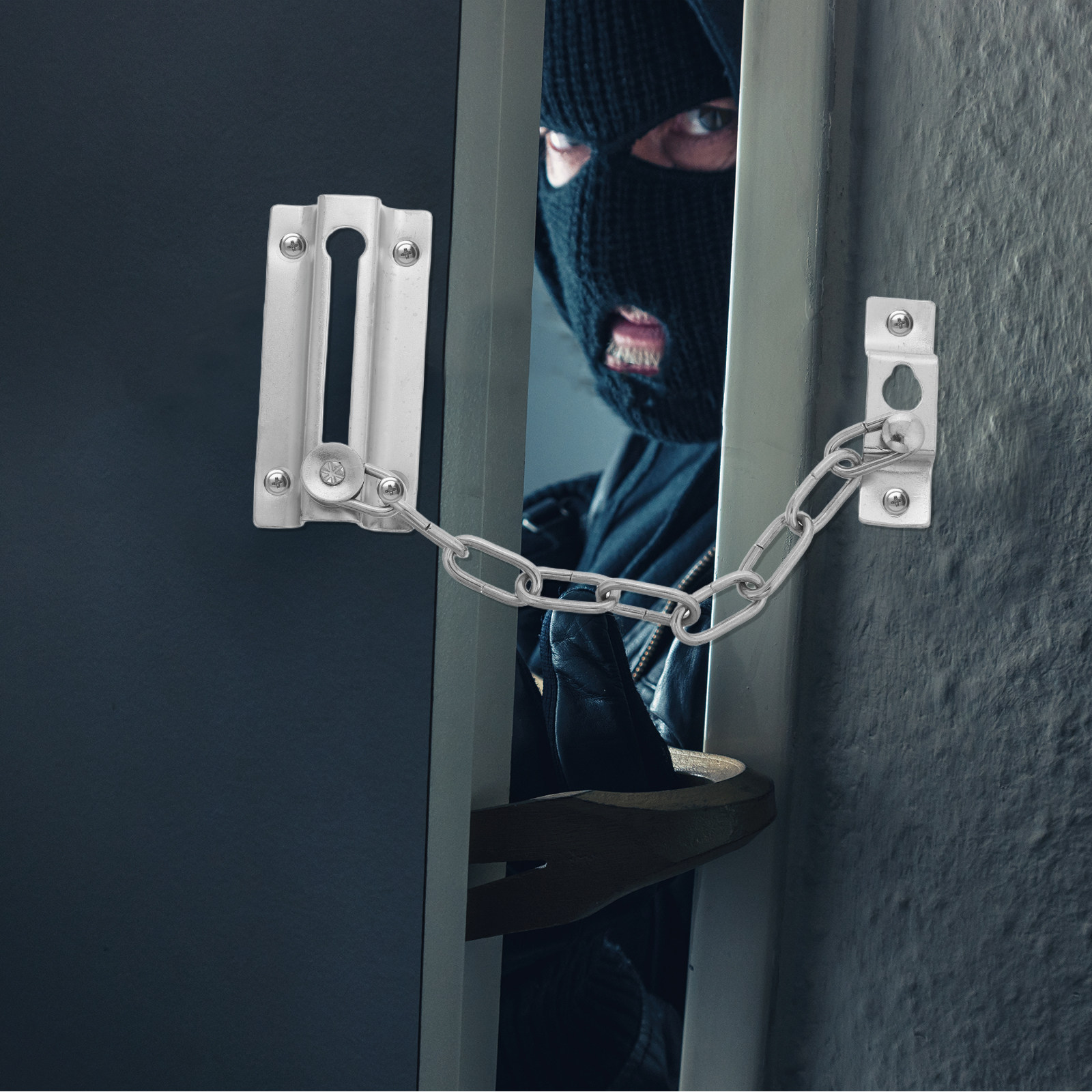 Heavy Duty Stainless Steel Ant - مراجعة Security Chain Door وسعره