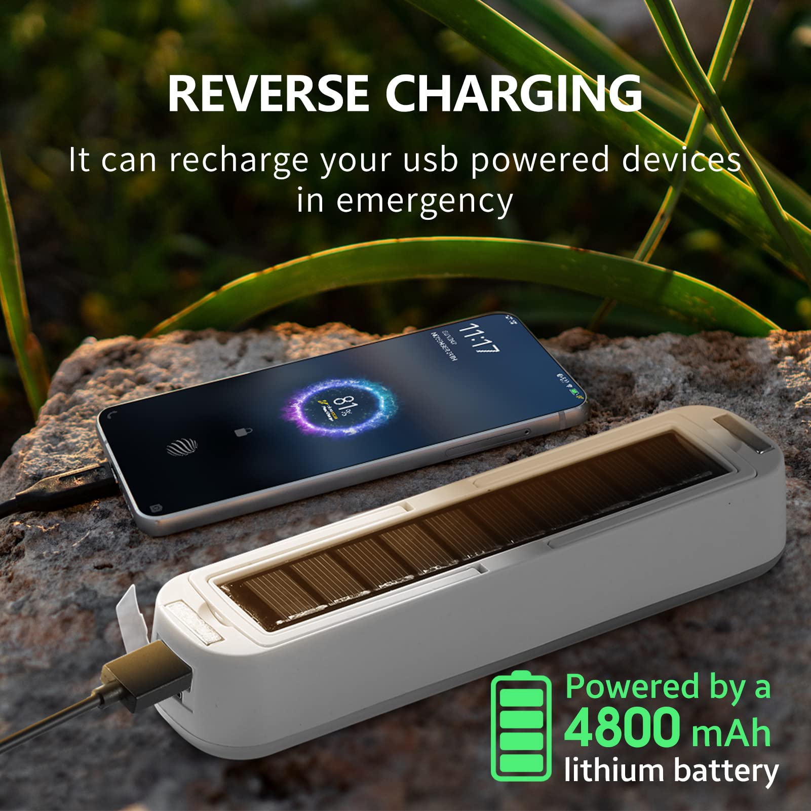 Solar Rechargeable Camping Lan - مراجعة Power Outage Light وسعره