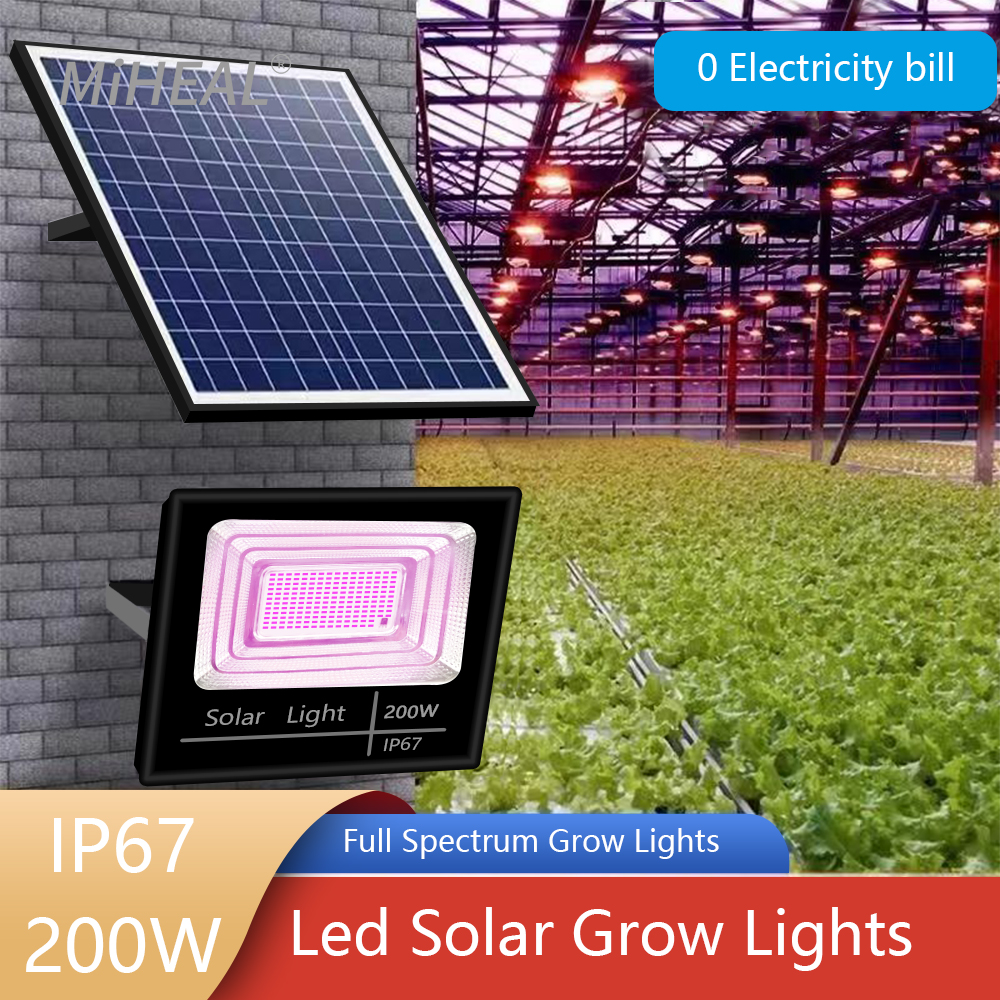 LED Full Spectrum Phyto Lamp 2 - مراجعة Power Outage Light وسعره