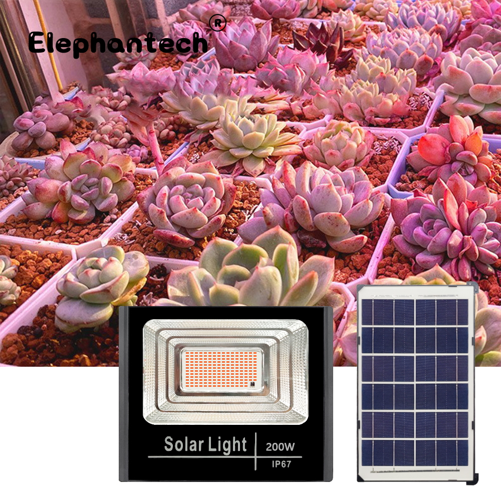 LED Full Spectrum Phyto Lamp 2 - مراجعة Power Outage Light وسعره