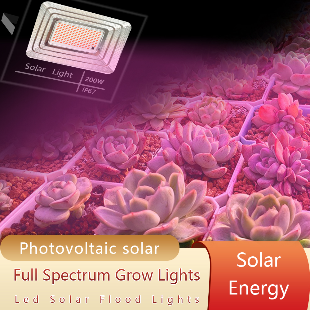 LED Full Spectrum Phyto Lamp 2 - مراجعة Power Outage Light وسعره
